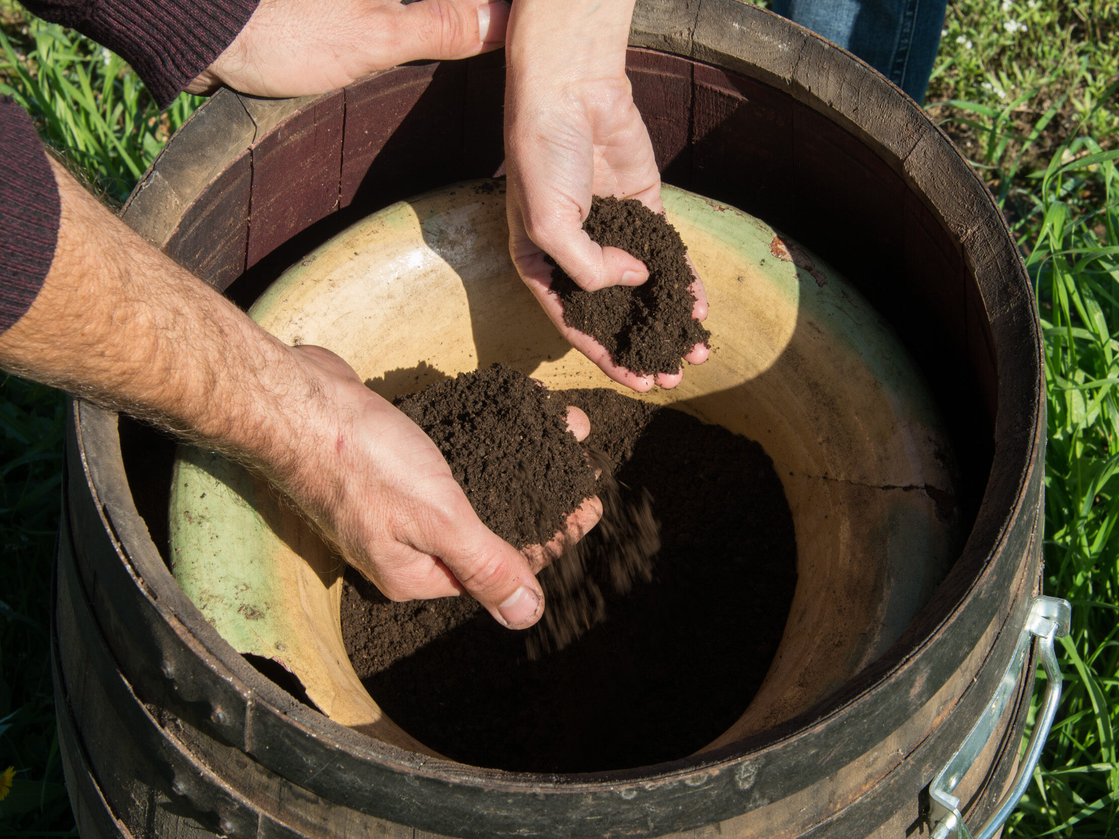 Biodynamic and regenerative agriculture