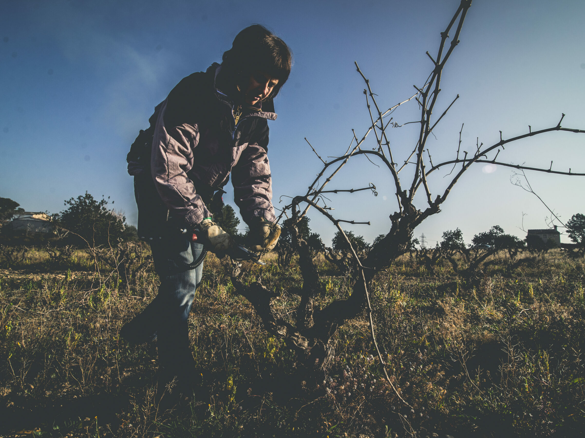 Biodynamic and regenerative agriculture