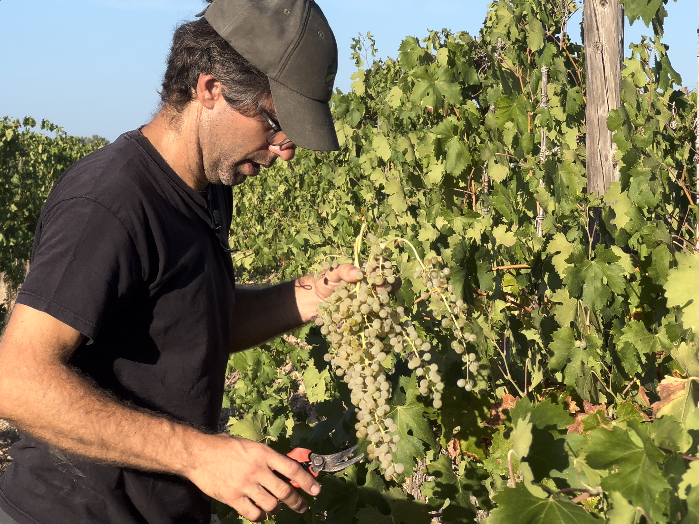 Biodynamic and regenerative agriculture
