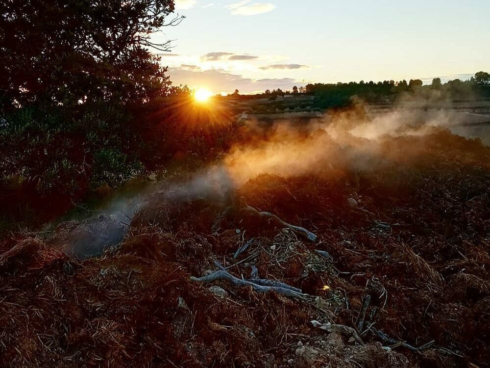 Biodynamic and regenerative agriculture