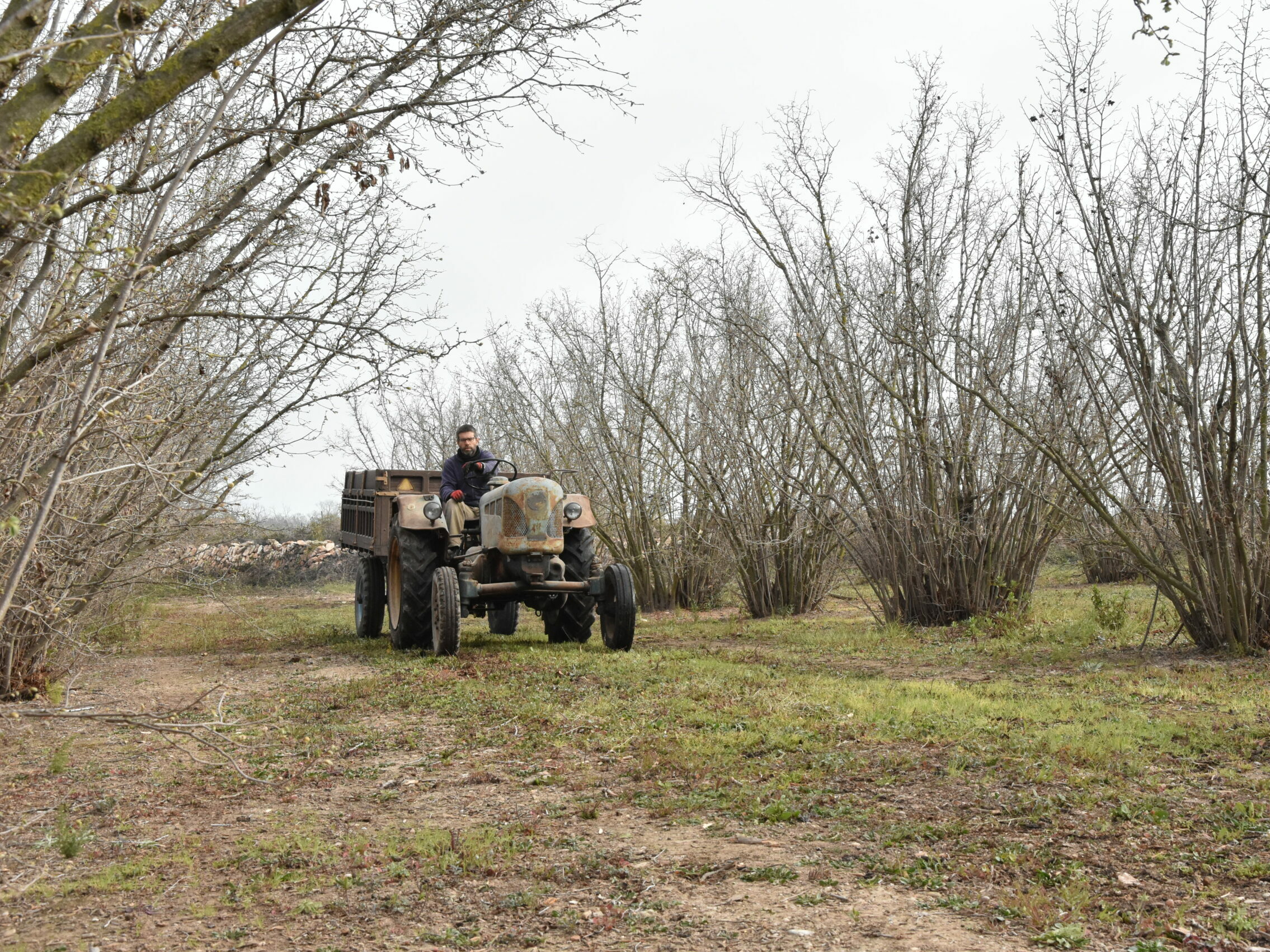 Biodynamic and regenerative agriculture