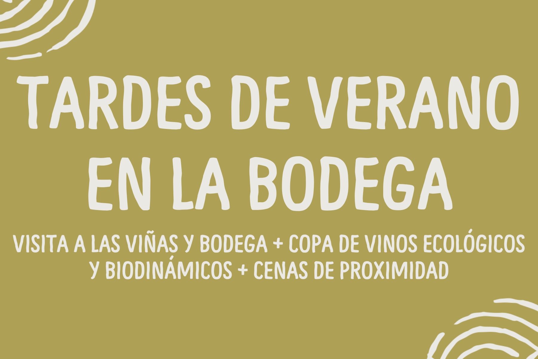 Tardes de verano en la bodega