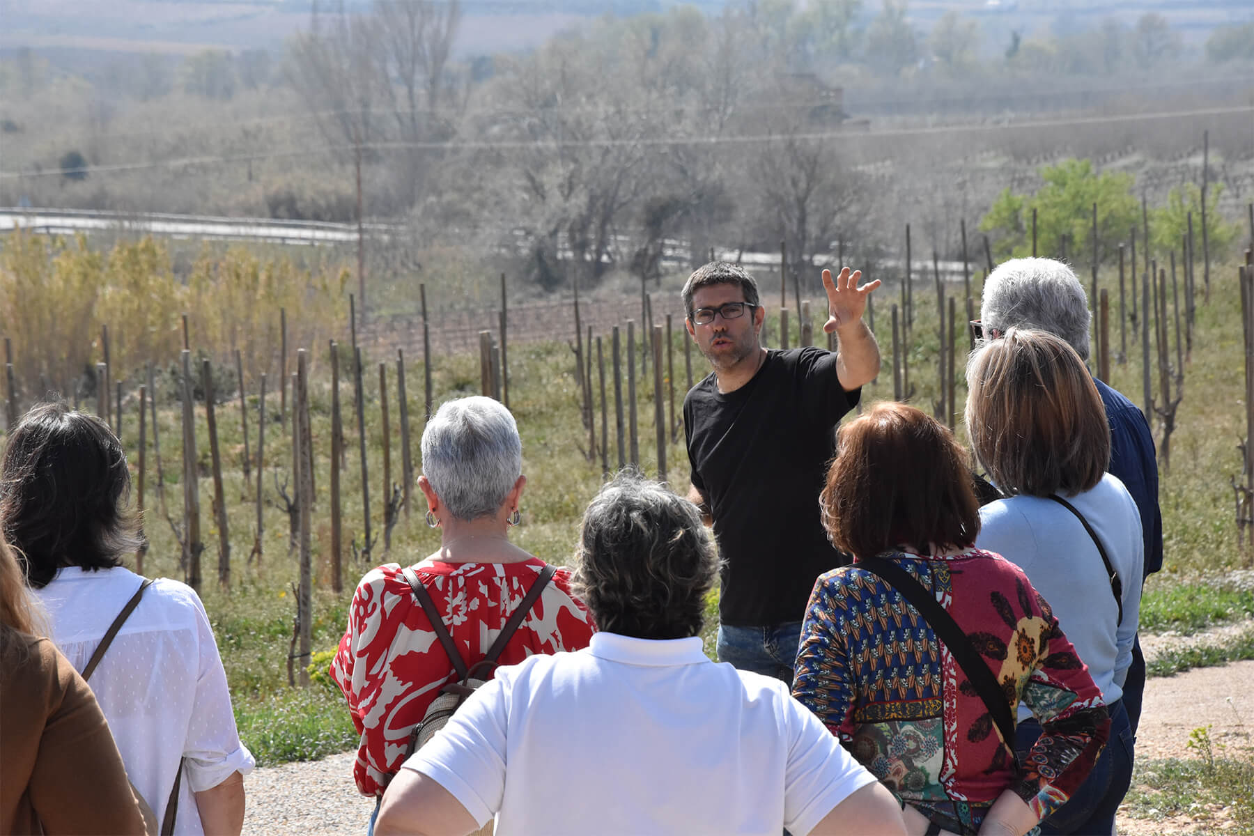 Visites al celler Dasca Vives