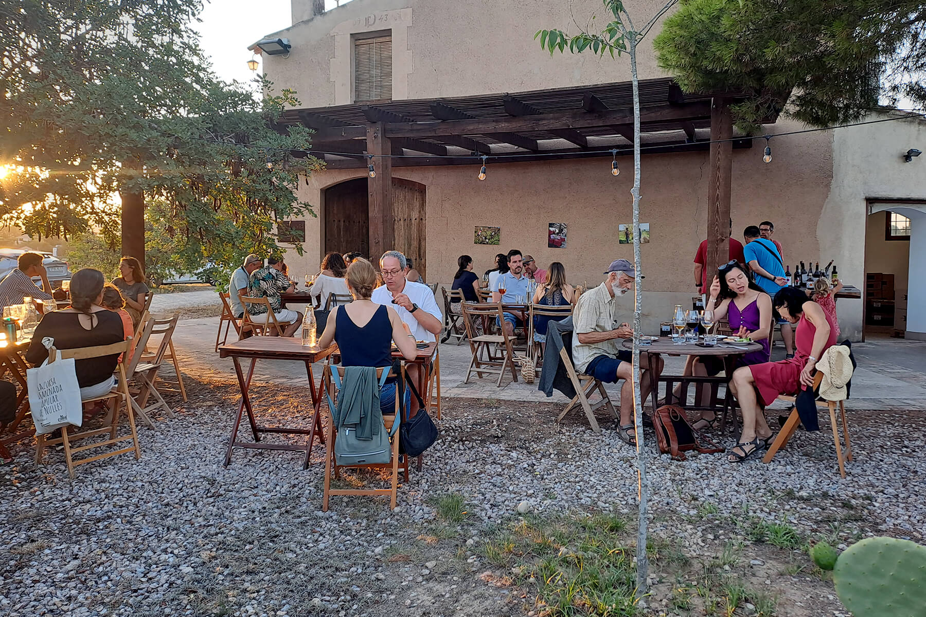 Vespres d'estiu al Celler Dasca Vives