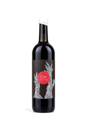 CRIT 2019